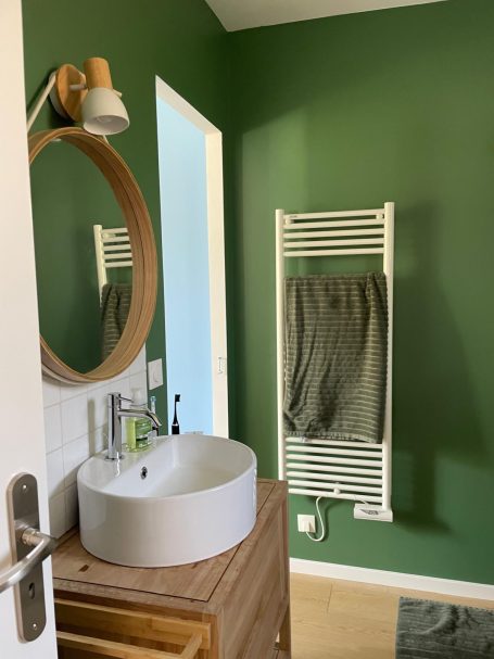 Salle de bain thème jungle MGP MENUISERIE PEINTURE TOUS TRAVAUX